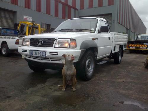 2008 TATA 207 3.0 2008 TATA 207 3.0