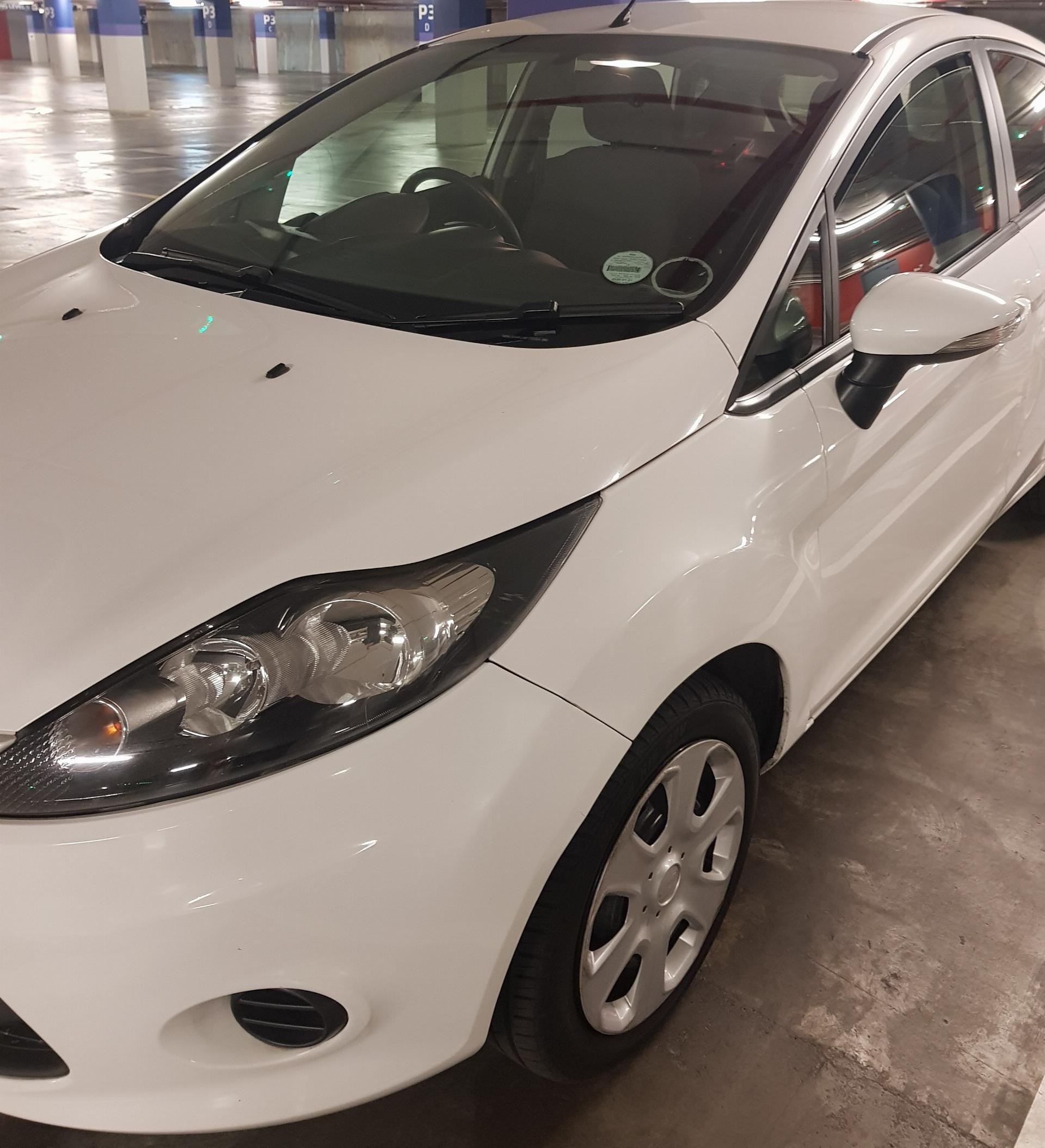 Ford Fiesta 1.4 Colour Coated Handles